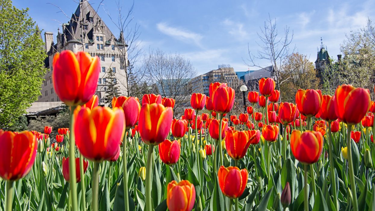 Canada’s Spring Forecast Just Dropped & It Could Be The Warmest We've Had In Years