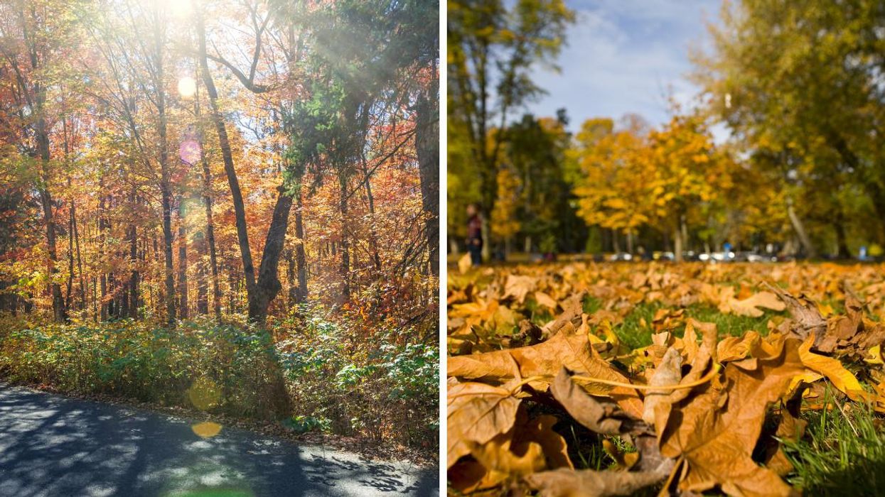 Canadaâs Weather Is Going To Get Wild This Week & Some Regions Are In For A âFall Sizzlerâ