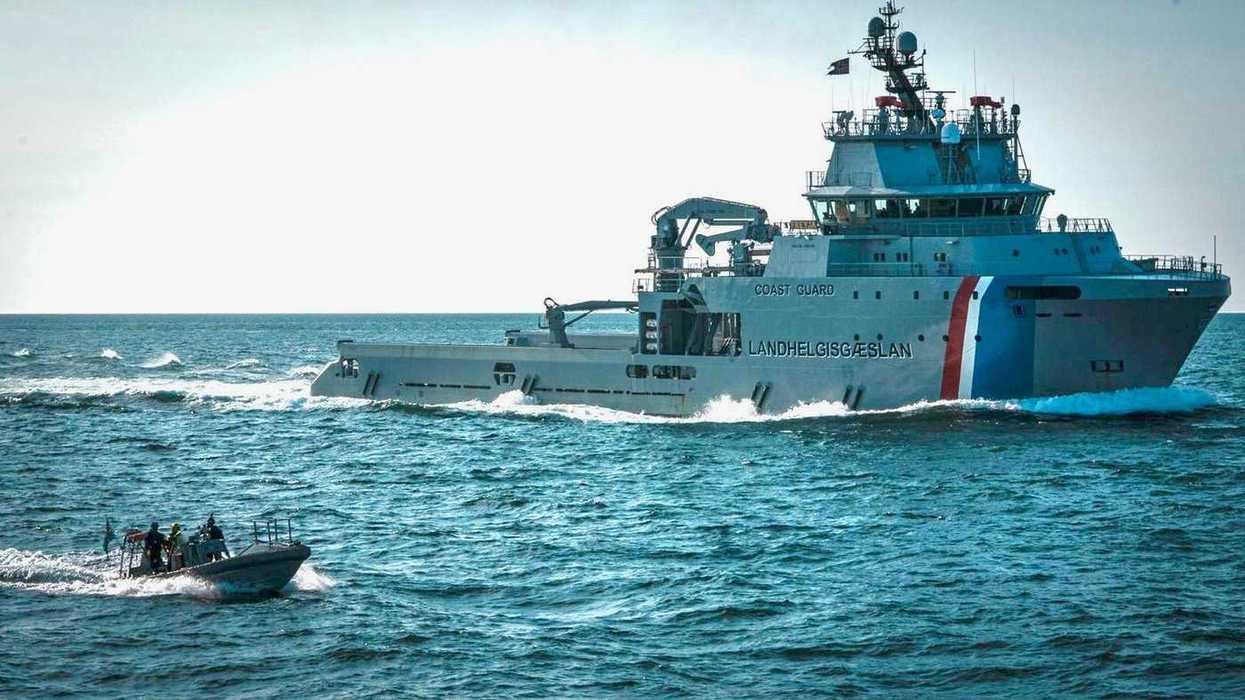 Canadian anti-whaling activist detained in Iceland