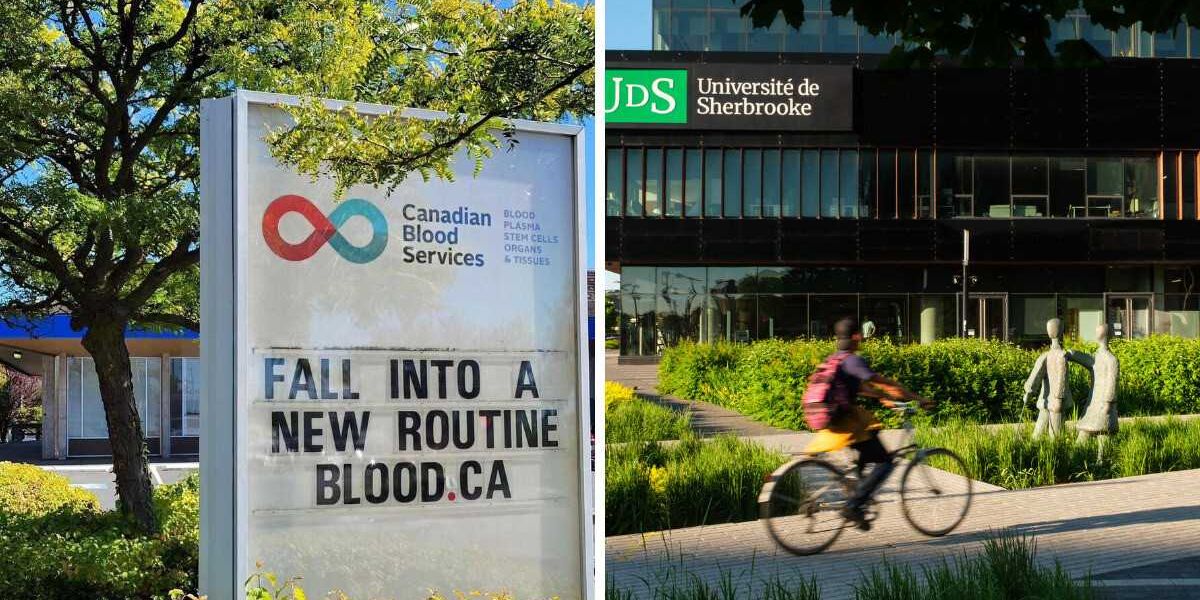 This new best employers in Canada ranking reveals the top companies to work for This new best employers in Canada ranking reveals the top companies to work for