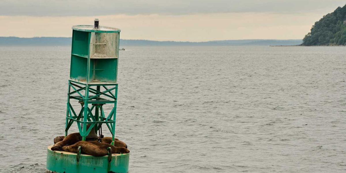 Canadian buoy drifts across Atlantic, washes up on shore of Irish island Canadian buoy drifts across Atlantic, washes up on shore of Irish island