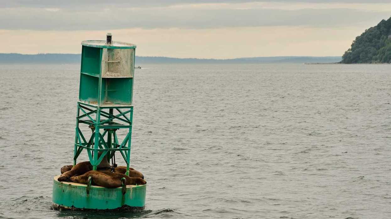 Canadian buoy washes up on shore of Irish island
