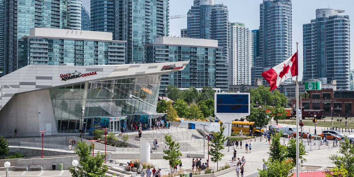 Here’s everything you need to know about what’s open and closed in Toronto on Canada Day, Life in canada Here’s everything you need to know about what’s open and closed in Toronto on Canada Day, Life in canada