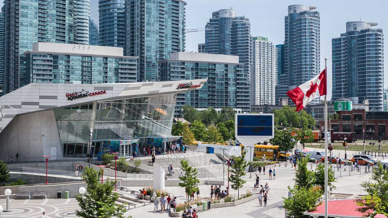 canadian flag near ripley's aquarium in downtown toronto