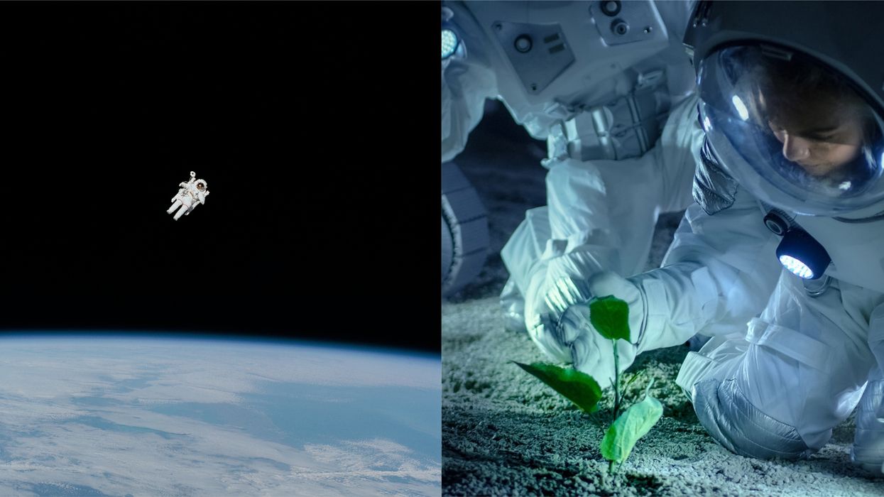 Canadian Space Agency Is Looking For Help Developing Food Astronauts Can Make In Space