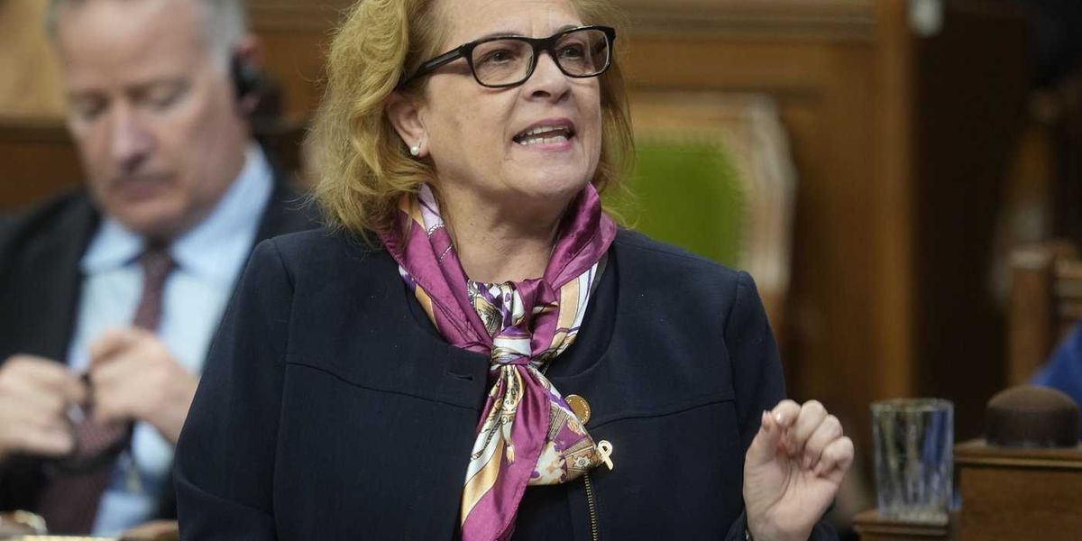 Immigration Department probing cancellation of refugee sponsor policy: Diab Immigration Department probing cancellation of refugee sponsor policy: Diab