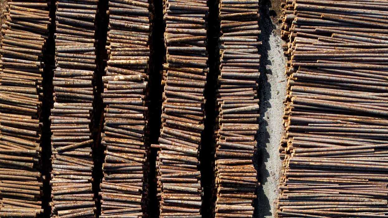 Canfor closing B.C. pulp mill, 300 jobs lost