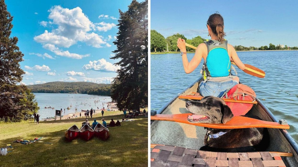 Canoes on the grass beside a busy beach. Right: A black dog and a person in a canoe.