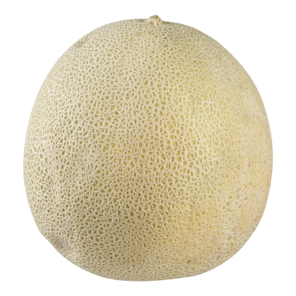 Cantaloup sur fond blanc.