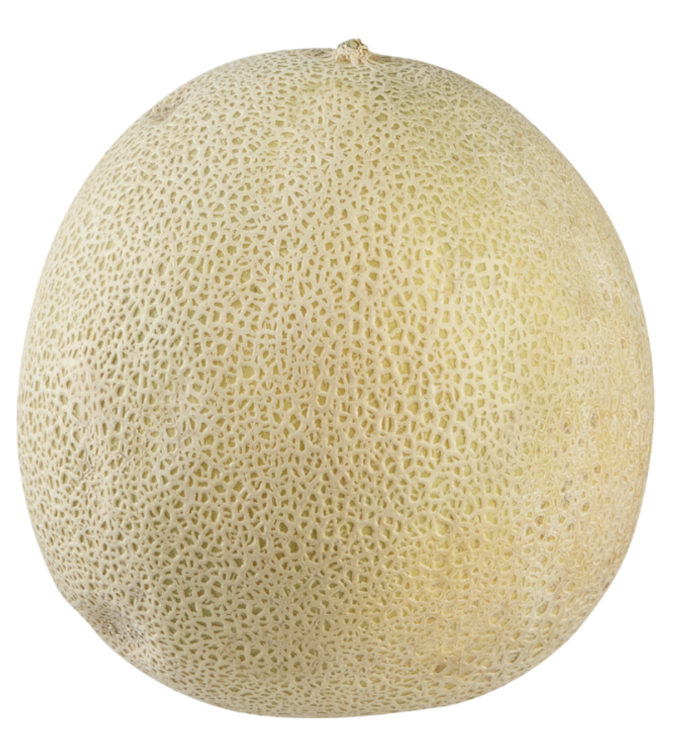 Cantaloup.