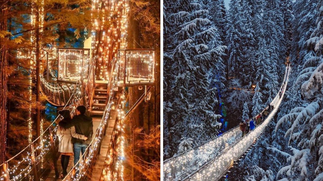 Canyon Lights at Capilano Suspension Bridge Park.