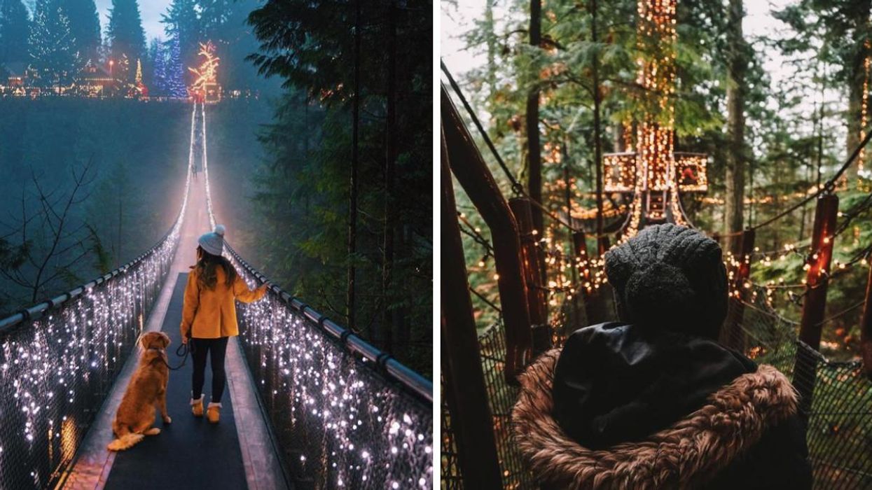 Canyon Lights Is Back & It Has Magically Transformed A Huge Suspension Bridge In Vancouver