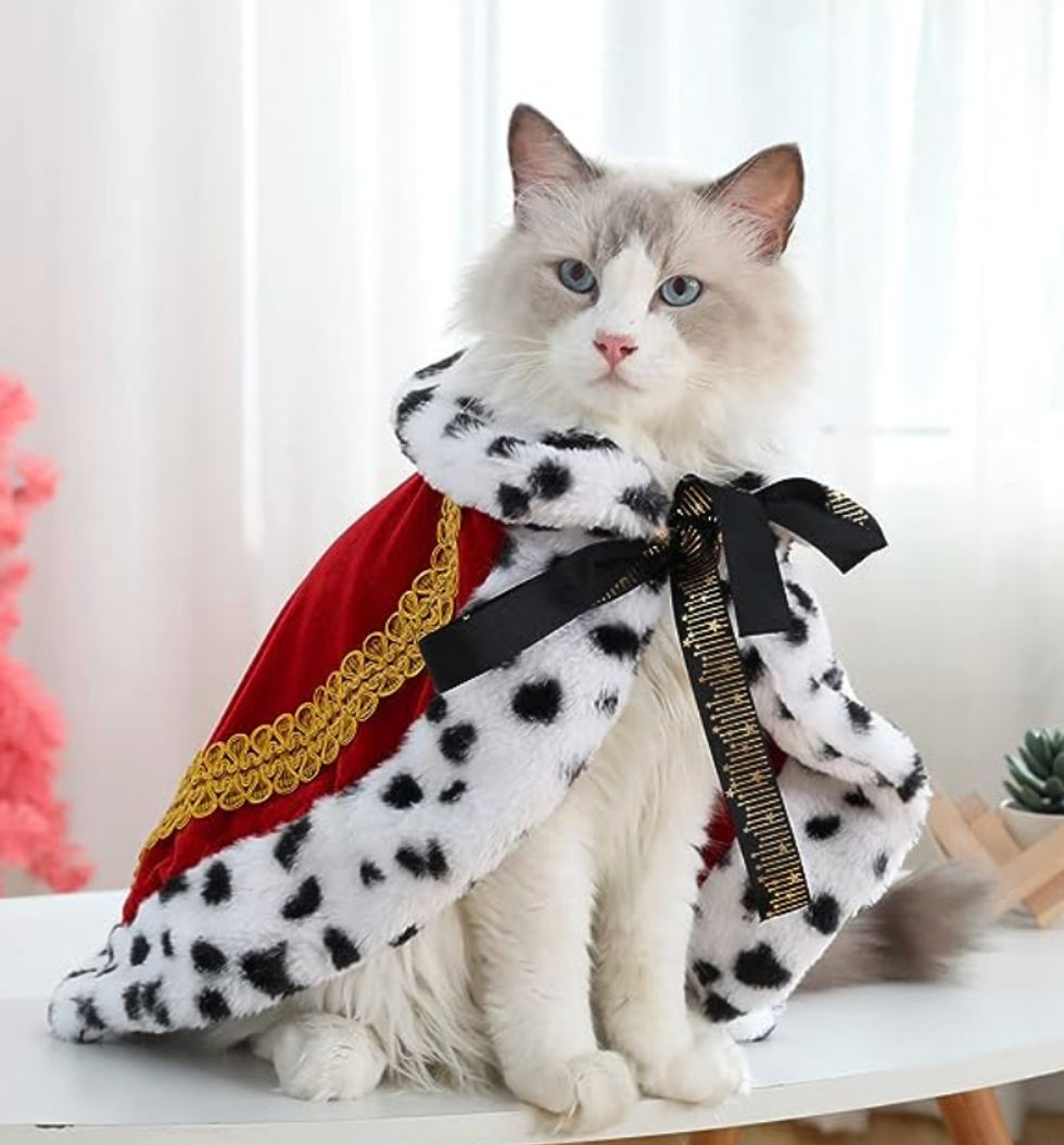 Cape en fourrure pour chat.