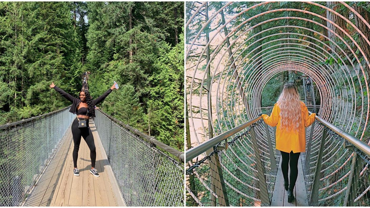 Capilano Suspension Bridge Opens This June & It's BC's Most Breathtaking Spot