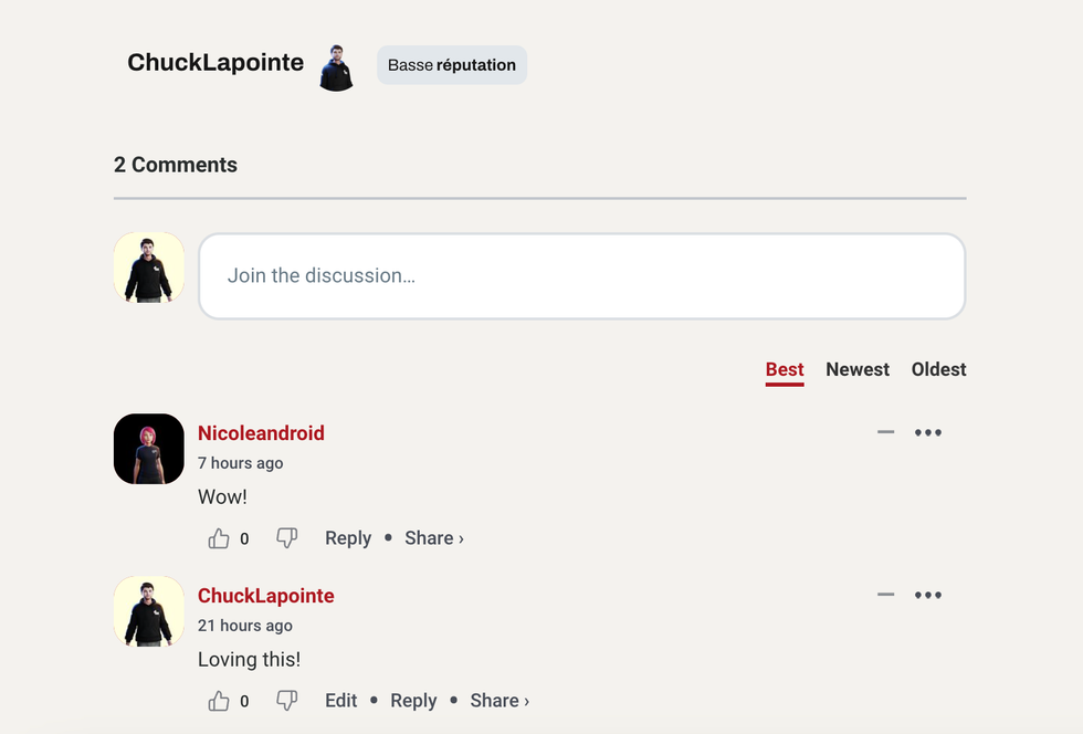 Capture d'\u00e9cran de l'exp\u00e9rience de commentaire sur Narcity