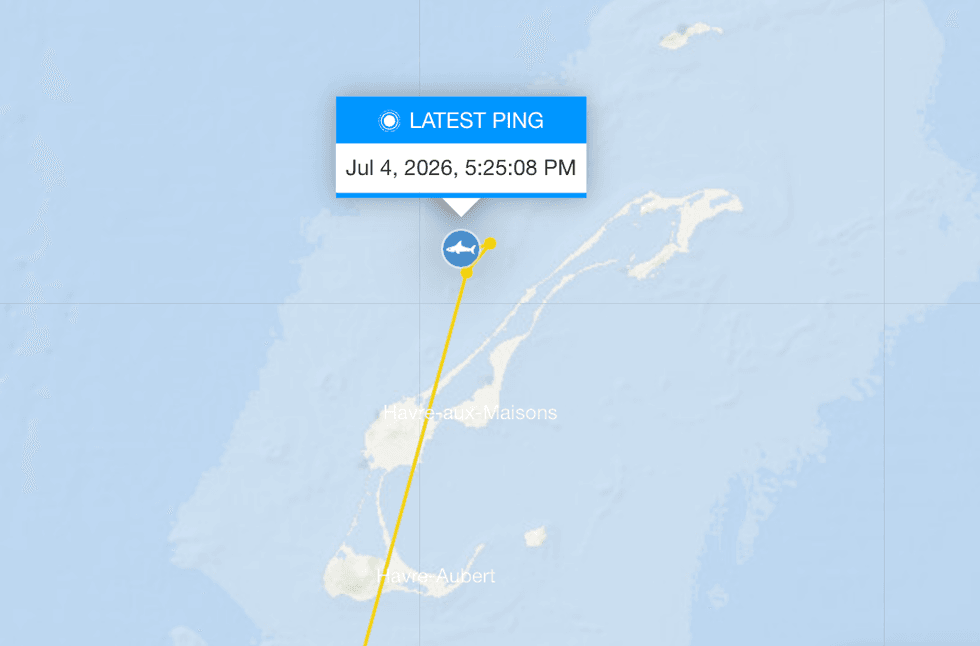Capture d'\u00e9cran Ocearch.