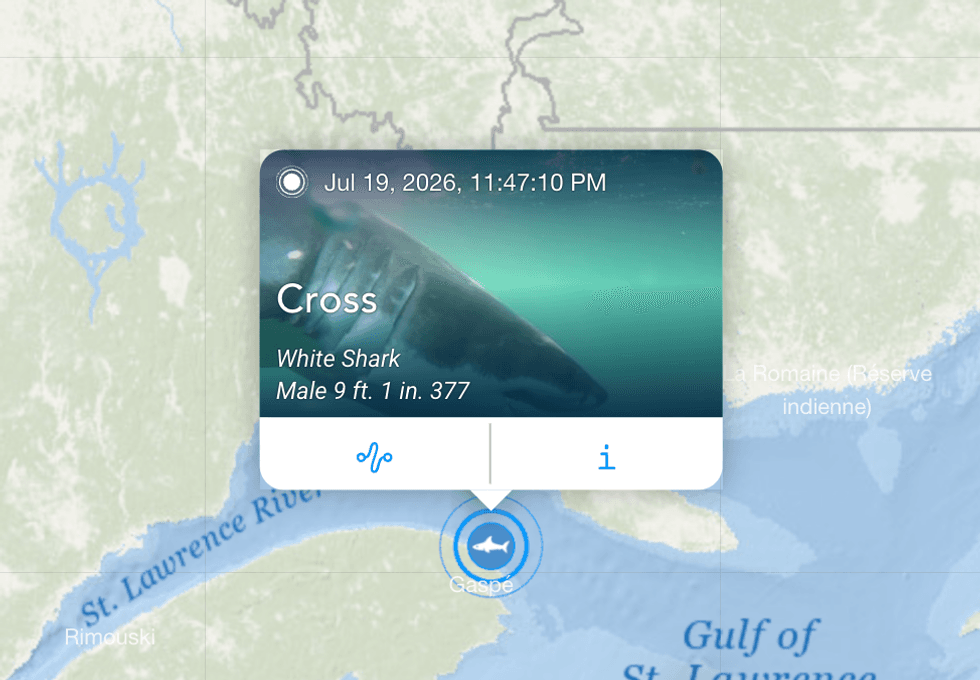 Capture d'\u00e9cran OCEARCH.