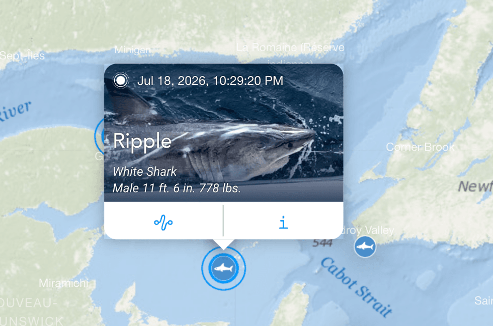 Capture d'\u00e9cran OCEARCH.