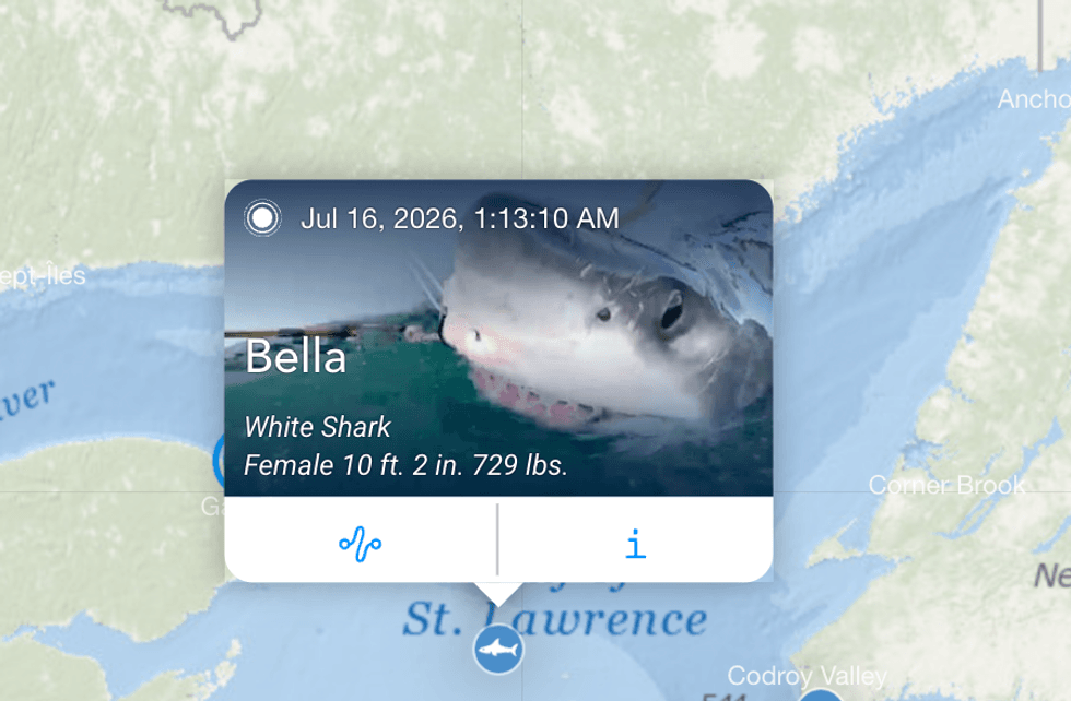 Capture d'\u00e9cran OCEARCH.