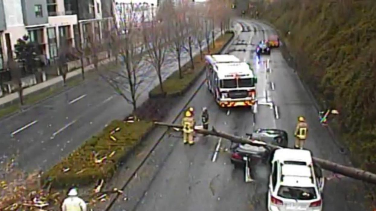 Car crushed by a tree with emergency responders at the scene.