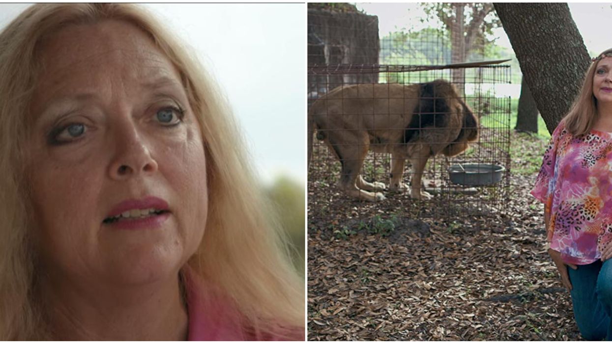 Carole Baskin Big Cat Rescue Is Getting Hit With A Juicy New Lawsuit