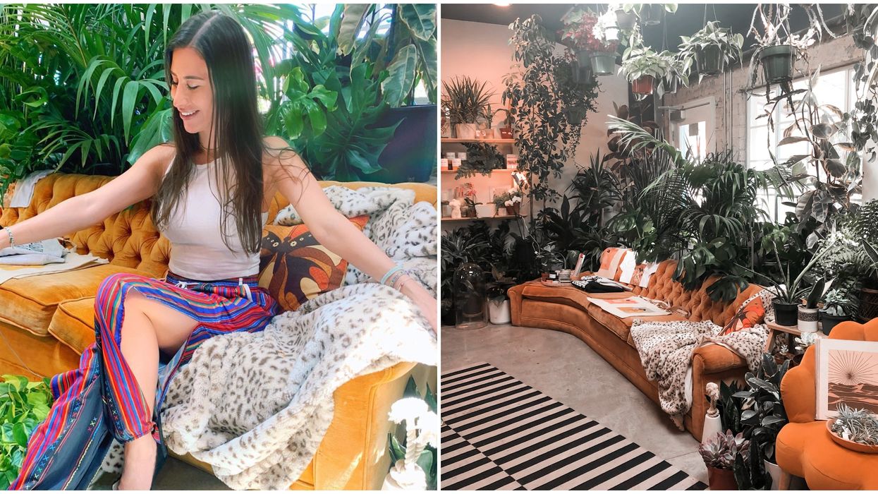 Carrie Lynn's Plant Shop In Las Vegas Is A Dreamy Green Paradise