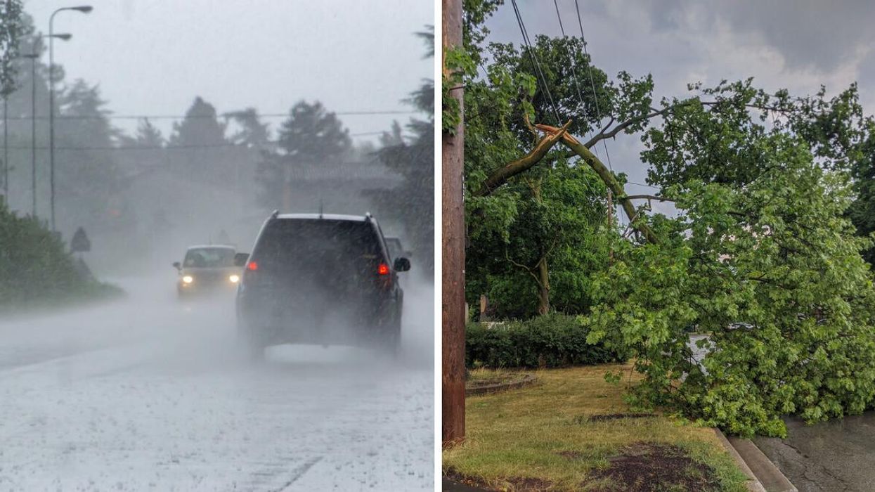 Cars in the rain. Right: Fallen tree branch on power line.