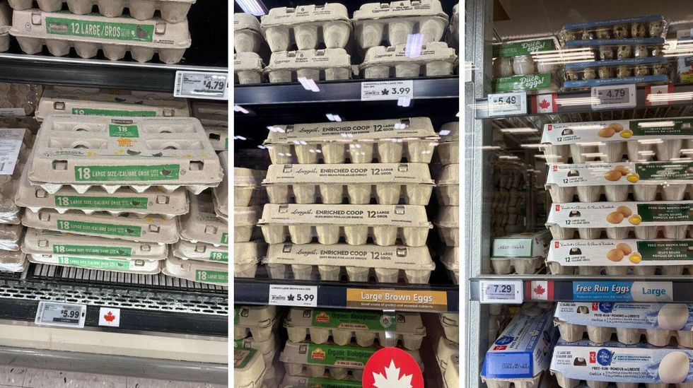 cartons of eggs at metro, longo's and fortinos