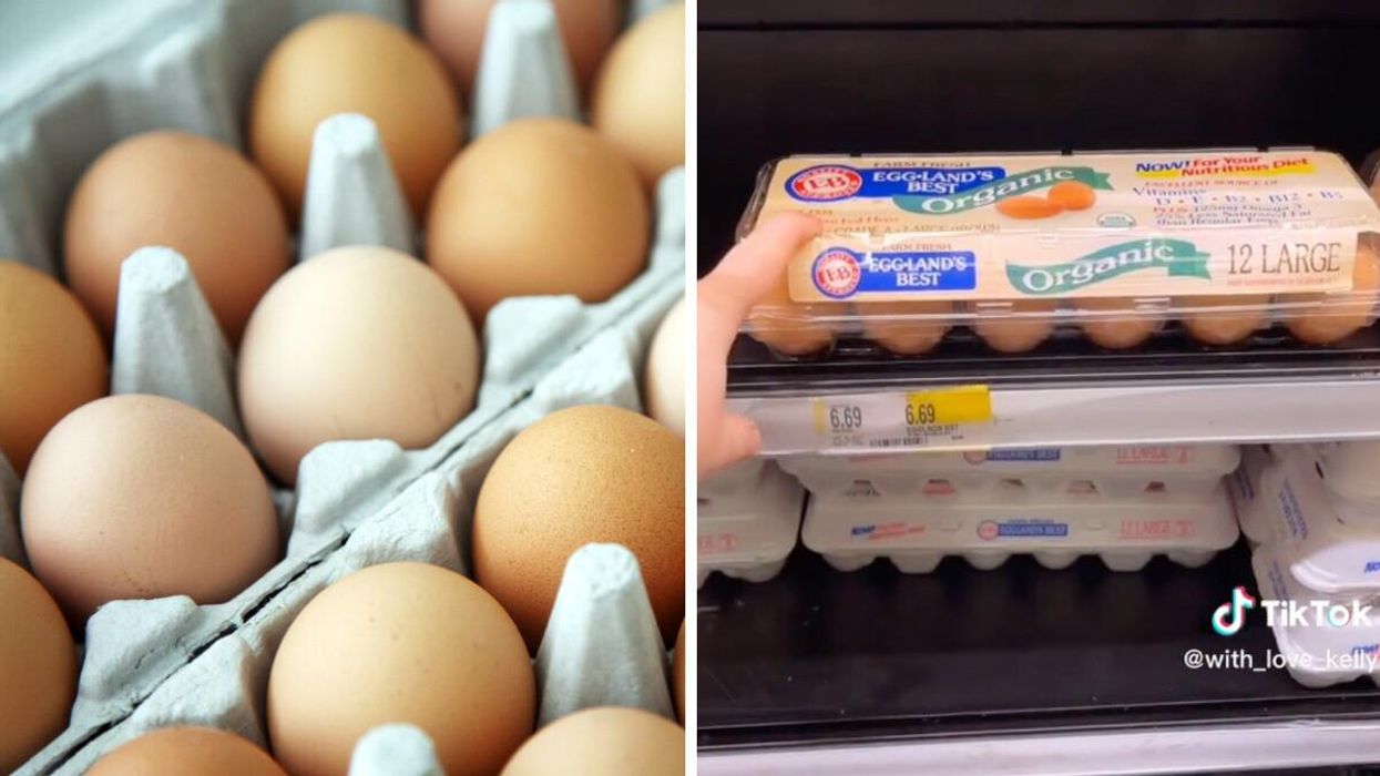 Cartons of eggs. Right: A TikToker showing the price of eggs at a story in South Jersey.