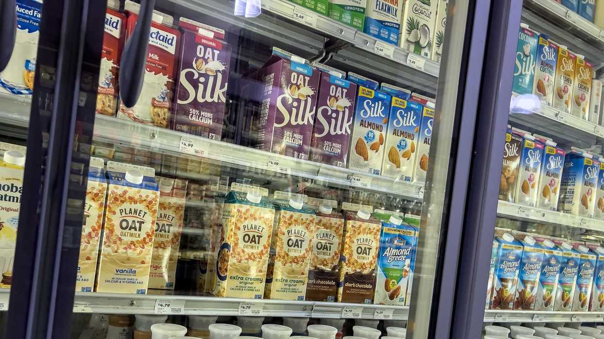 cartons of silk oat and almond beverages in fridge at store