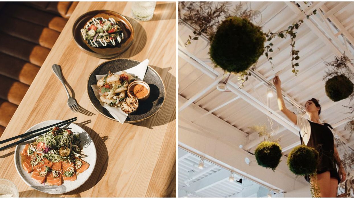 Casa Kaizen : ouverture d'un nouveau bar à tapas véganes à Montréal le 1er août