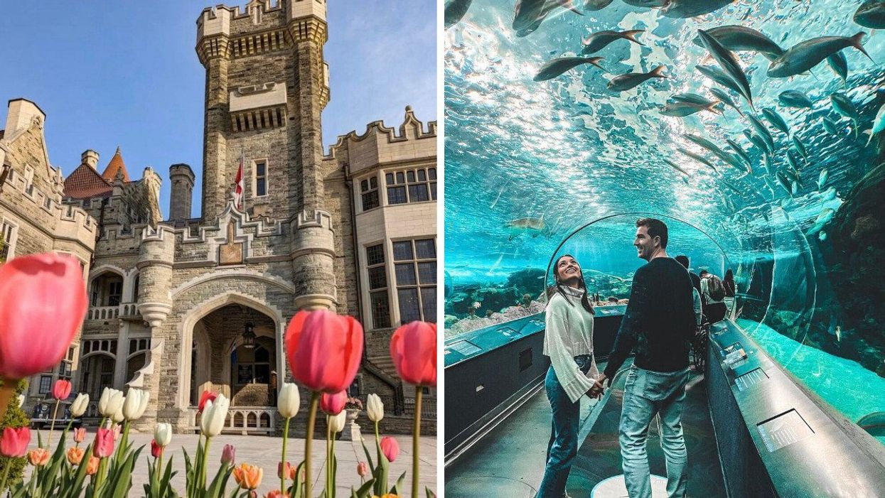 Casa Loma in Toronto. Right: People at Ripley's Aquarium in Toronto.