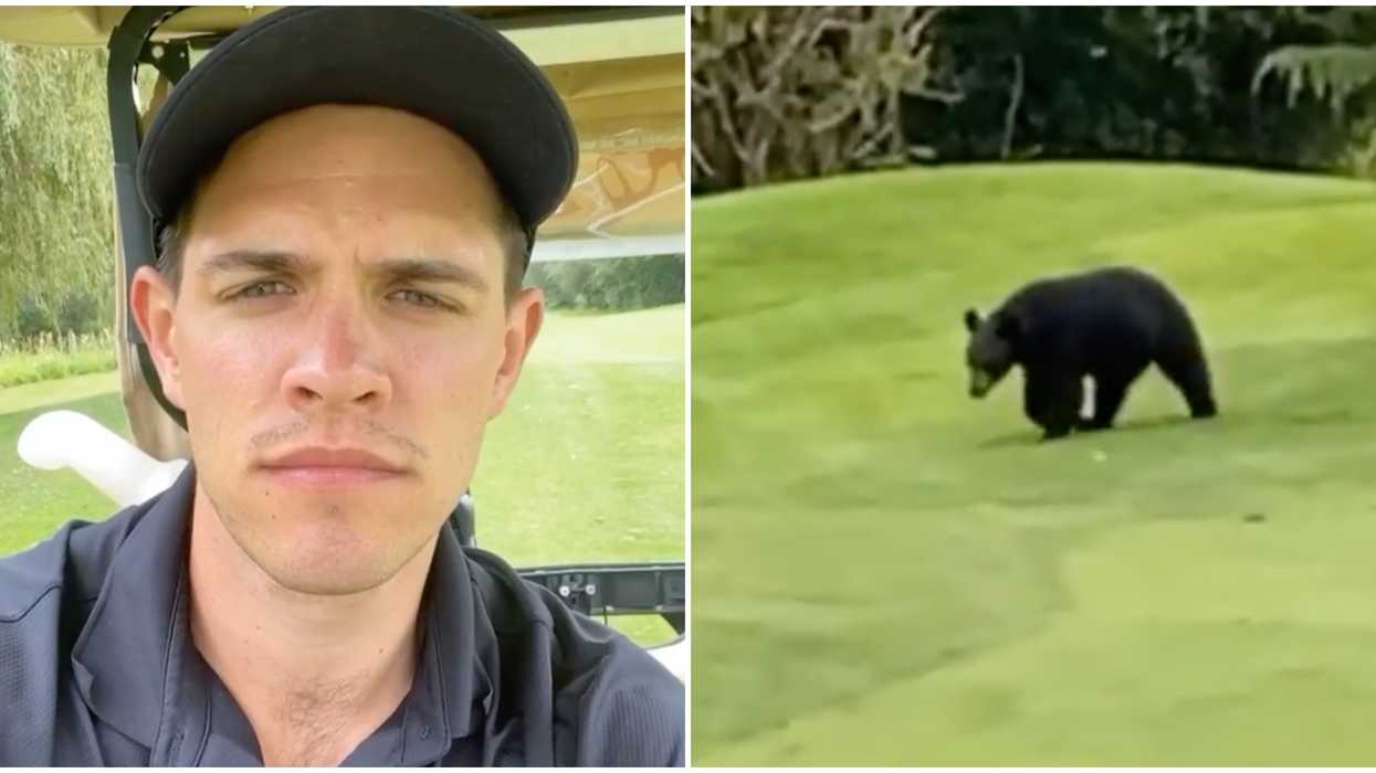Casey Cott Of 'Riverdale' Shared A Very Casual Video Of A Bear Encounter In BC
