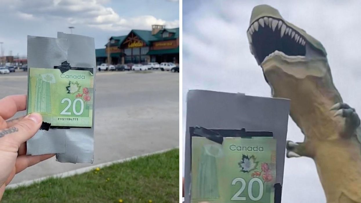 Cash being left by a store in Calgary. Right: Cash being left by the dinosaur in Drumheller.