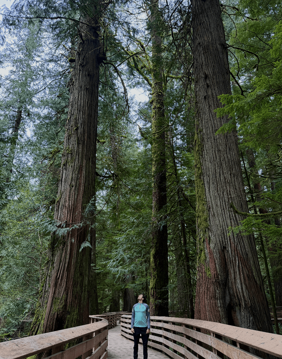 Cathedral Grove Vancouver Island.