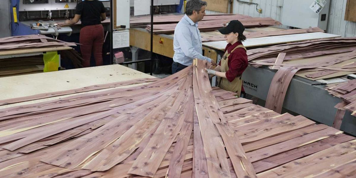 CBSA launches dumping probe of Chinese plywood CBSA launches dumping probe of Chinese plywood