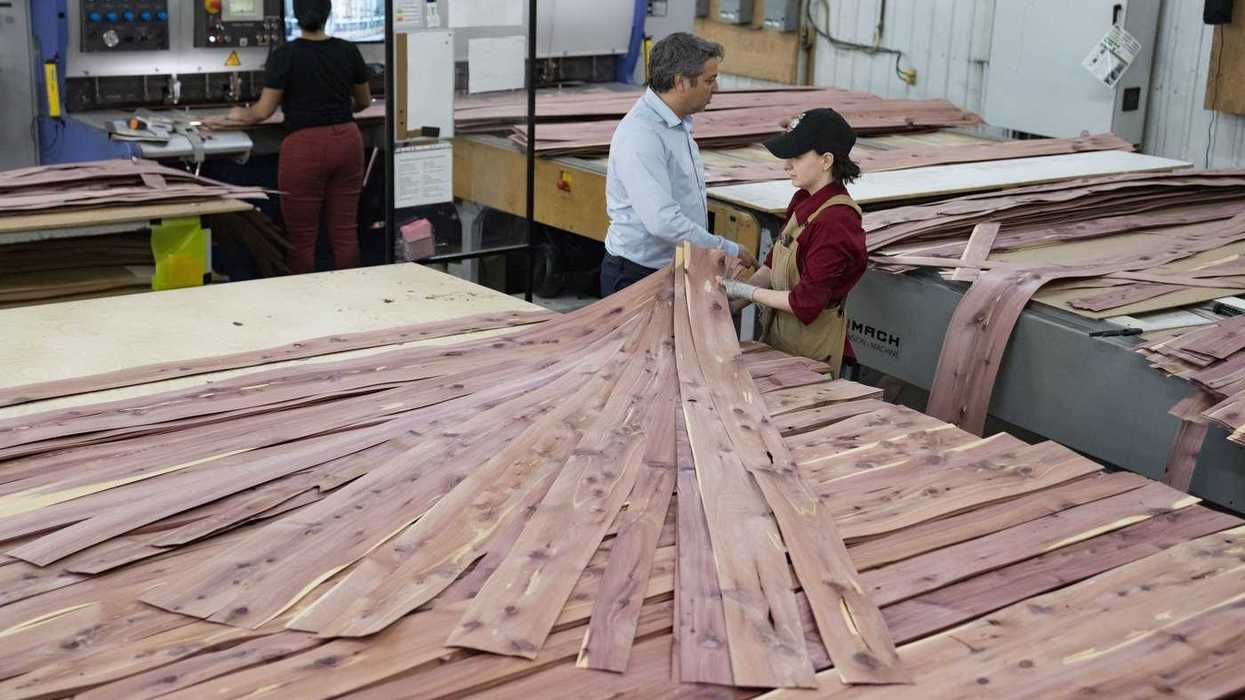 CBSA launches dumping probe of Chinese plywood
