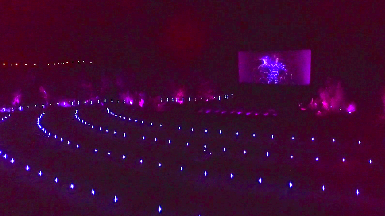 Ce ciné-parc à 1h de Montréal offre une expérience digne de Foresta Lumina dès aujourd'hui