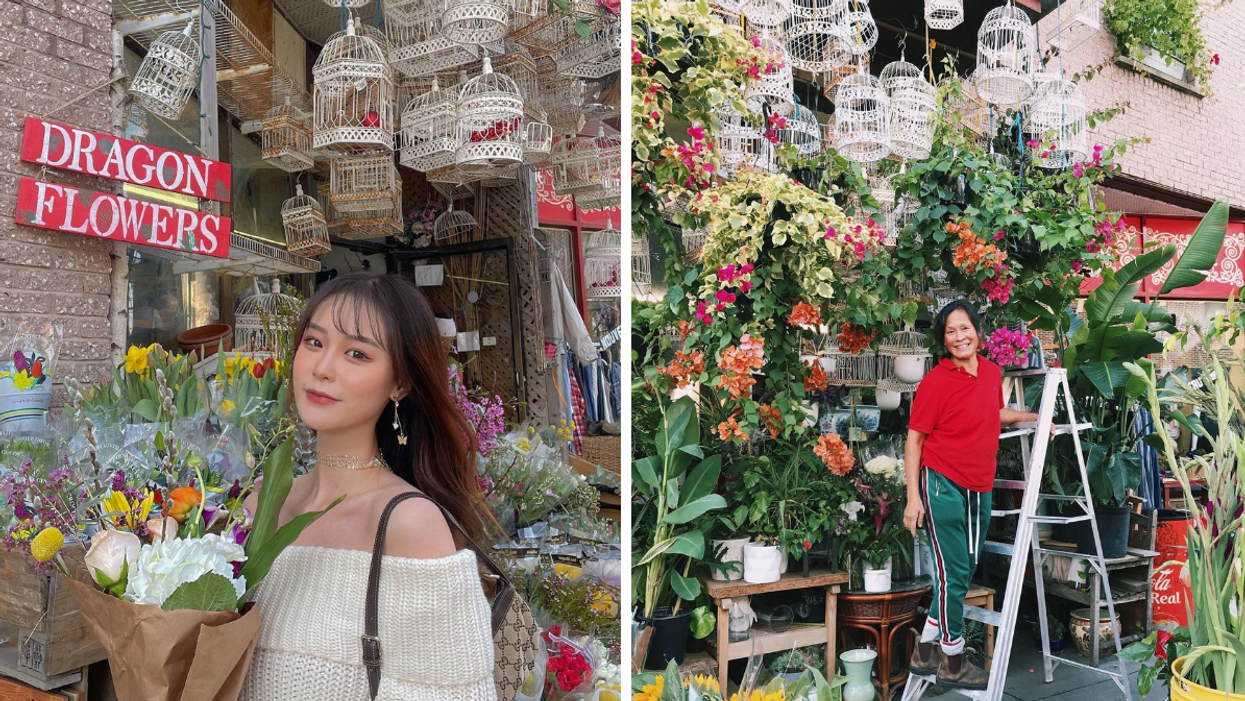 Ce fleuriste « cute AF » à Montréal fait des rabais de 50% sur ses plantes ce week-end