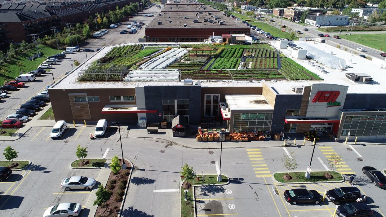 Ce IGA à Montréal cache le plus grand jardin bio sur un toit de supermarché au Canada