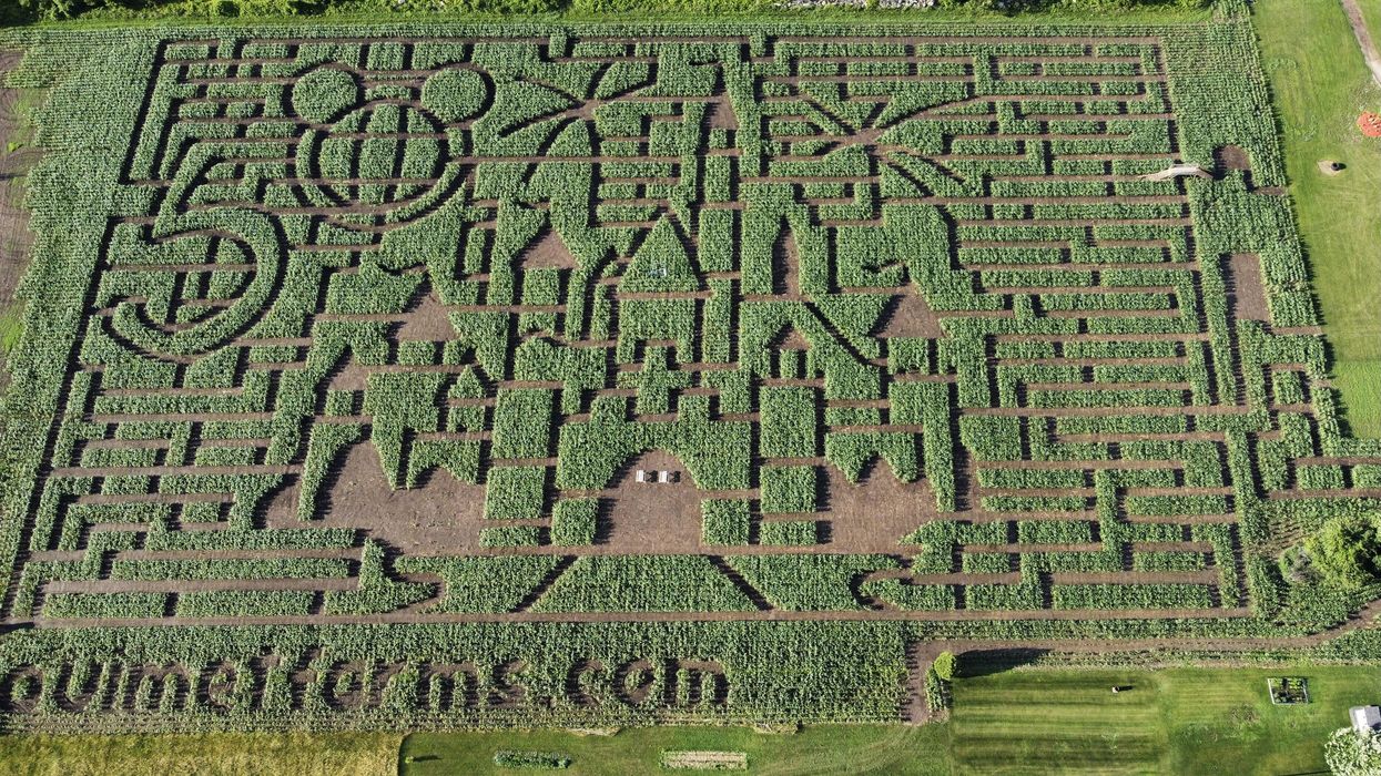 Ce labyrinthe de maïs à 1 h 30 de Montréal au Ouimet Farms Adventure est géant
