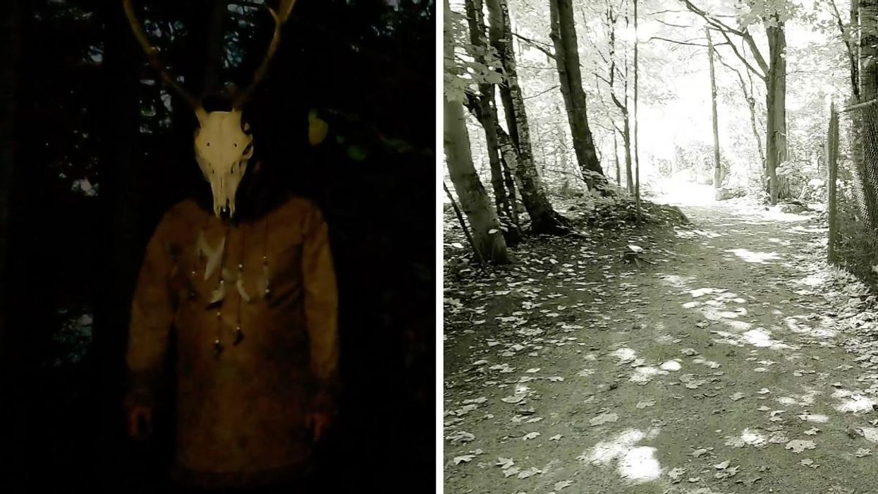 Ce parcours d’évasion digne d’un film d’horreur à Québec se déroule en pleine forêt