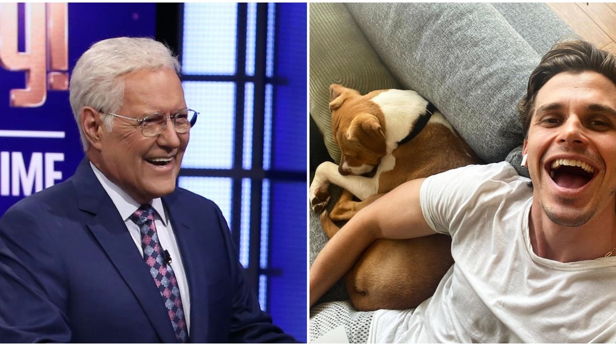 Celebrity Family Feud