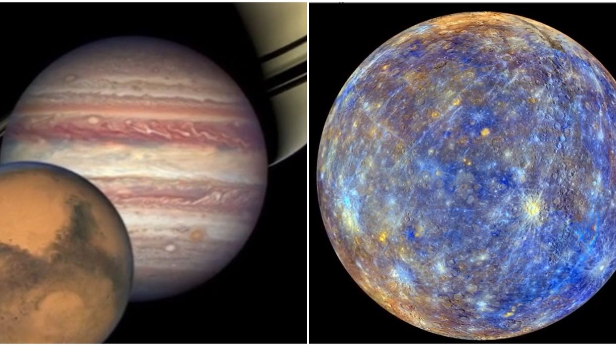 celestial events over florida