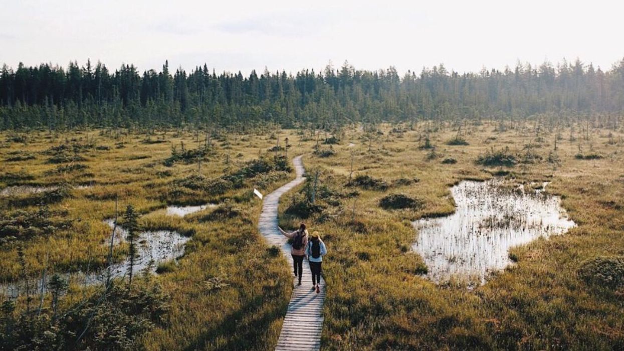 Ces 23 parcs nationaux du Québec seront gratuits pour une journée seulement ce week-end