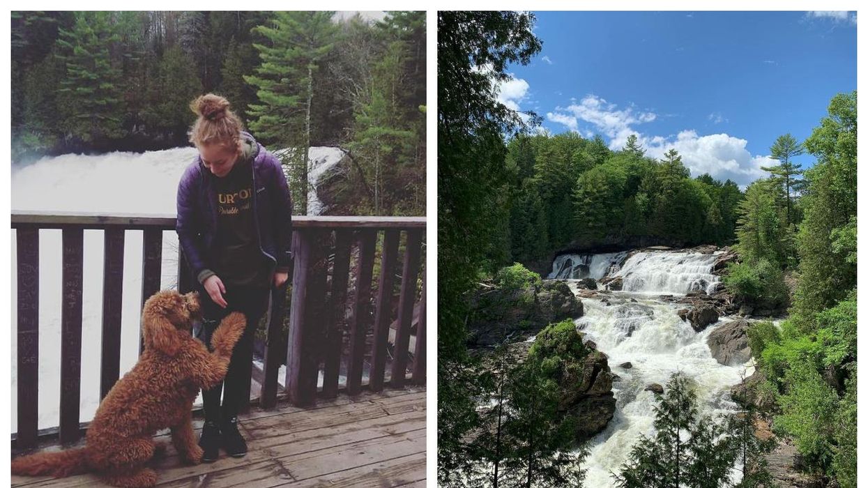 Ces chutes près de Montréal sont parfaites pour aller promener ton chien
