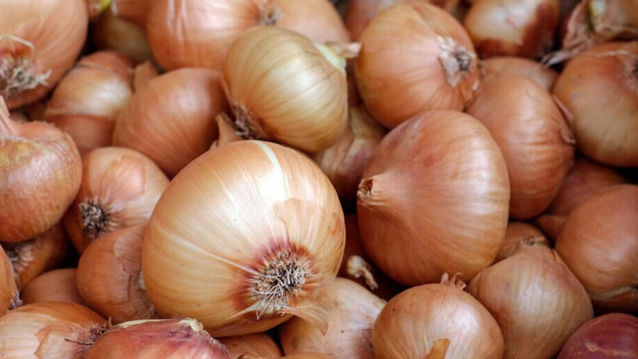 Ces oignons vendus au Québec pourraient te rendre très malade ou te tuer