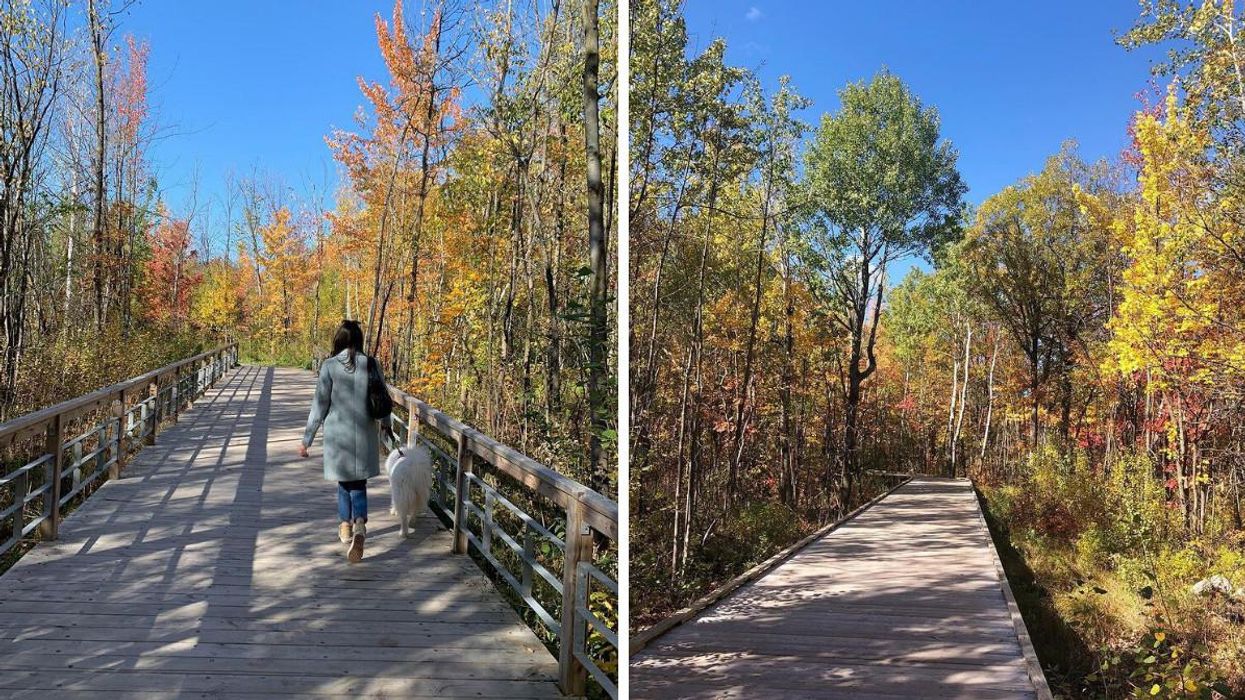 Ces passerelles sur la Rive-Sud de Montréal offrent un décor d'automne à couper le souffle
