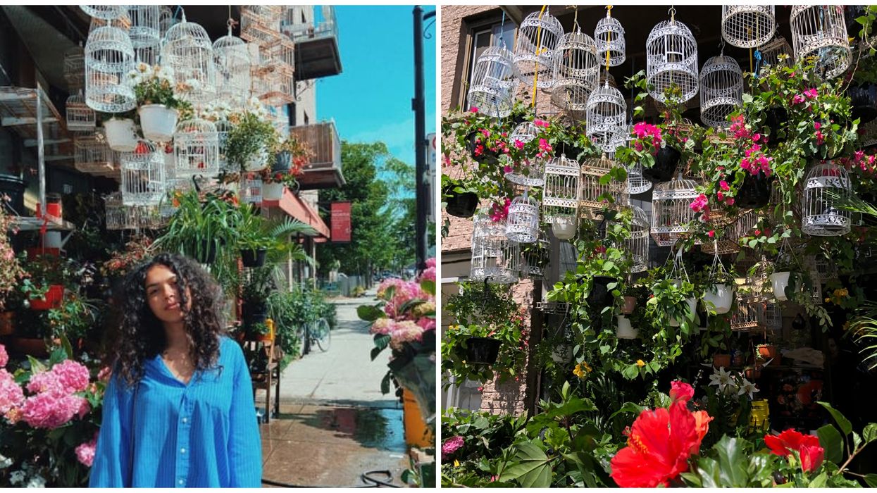 Cette boutique montréalaise donne l'impression d'être dans Alice au pays des merveilles