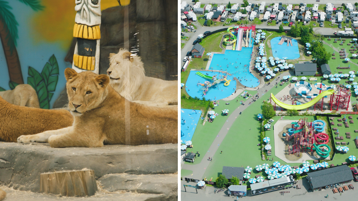 Cette nouvelle web-série t'invite à un voyage captivant dans l'univers d'Atlantide